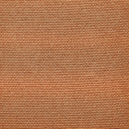 Complexion Duo Universal image 2