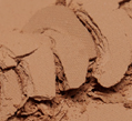 Refillable Pressed Powder - Medium/Warm image