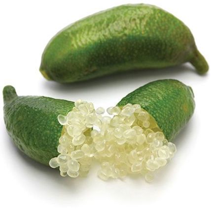 Lime Caviar Body Balm image 1